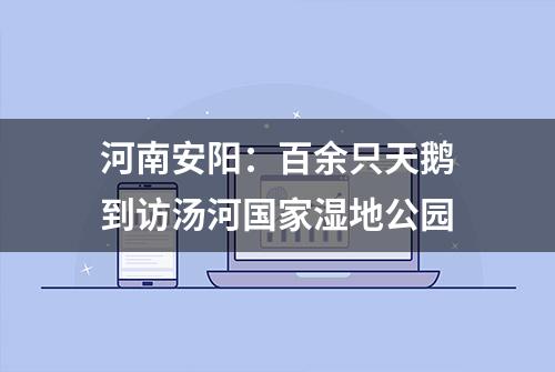 河南安阳：百余只天鹅到访汤河国家湿地公园