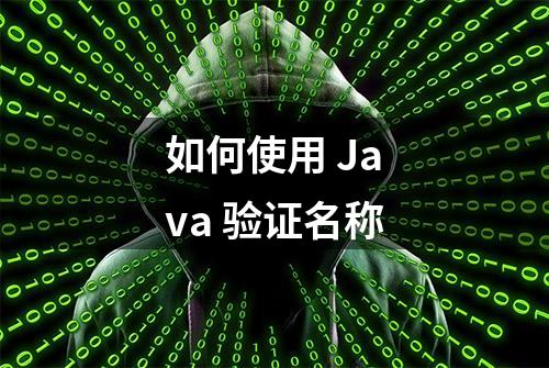 如何使用 Java 验证名称