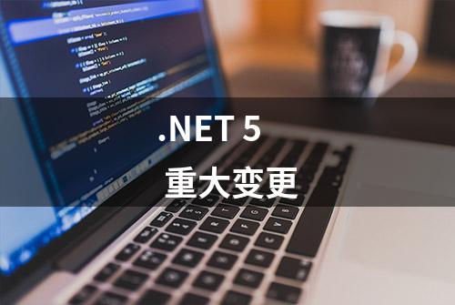 .NET 5 重大变更