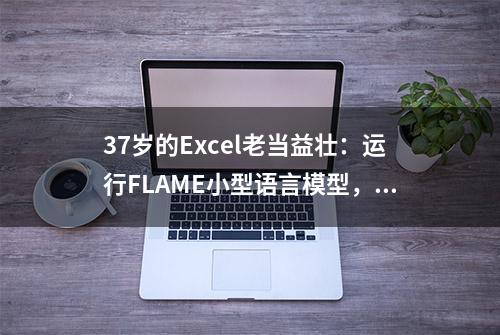 37岁的Excel老当益壮：运行FLAME小型语言模型，可辅助改进公式