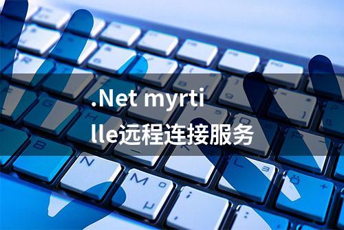 .Net myrtille远程连接服务