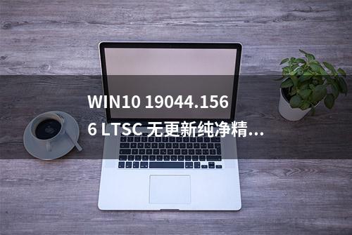 WIN10 19044.1566 LTSC 无更新纯净精简版 / 精简优化系统