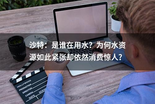 沙特：是谁在用水？为何水资源如此紧张却依然消费惊人？