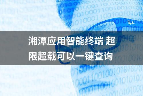 湘潭应用智能终端 超限超载可以一键查询