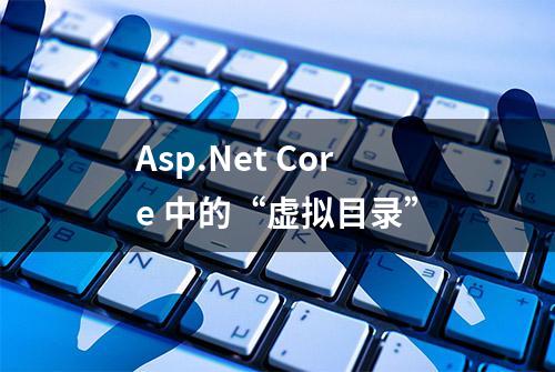 Asp.Net Core 中的“虚拟目录”