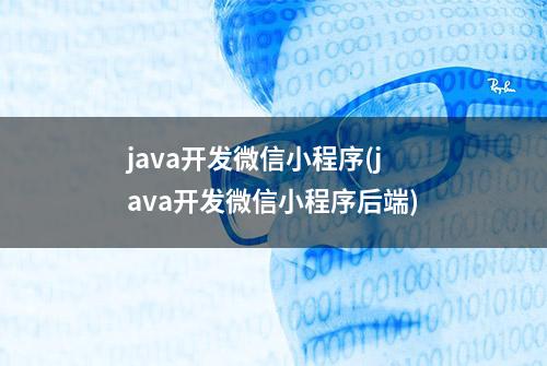 java开发微信小程序(java开发微信小程序后端)