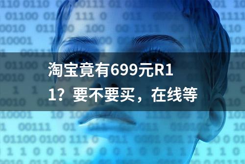 淘宝竟有699元R11？要不要买，在线等