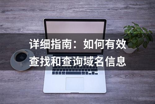 详细指南：如何有效查找和查询域名信息