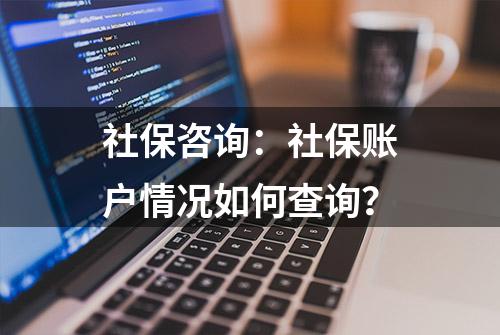 社保咨询：社保账户情况如何查询？