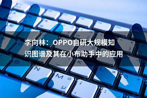 李向林：OPPO自研大规模知识图谱及其在小布助手中的应用