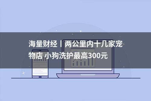 海量财经丨两公里内十几家宠物店 小狗洗护最高300元