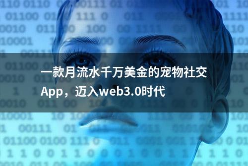 一款月流水千万美金的宠物社交App，迈入web3.0时代