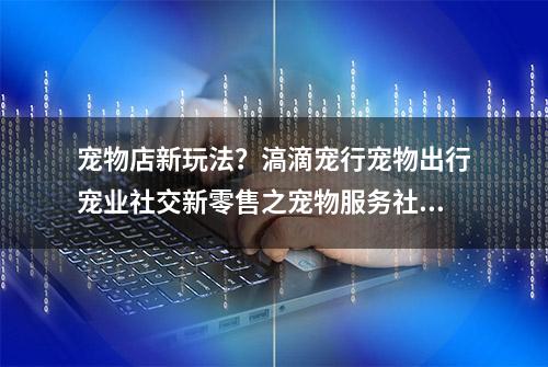 宠物店新玩法？滈滴宠行宠物出行宠业社交新零售之宠物服务社区