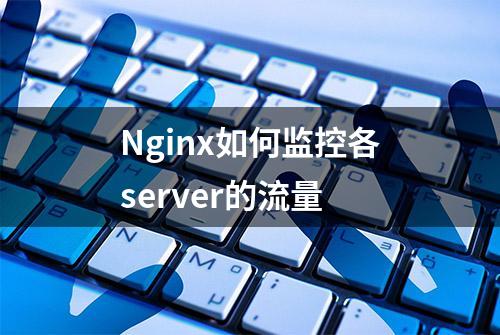 Nginx如何监控各server的流量