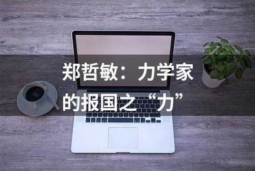 郑哲敏：力学家的报国之“力”