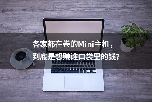 各家都在卷的Mini主机，到底是想赚谁口袋里的钱？