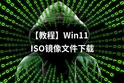 【教程】Win11 ISO镜像文件下载