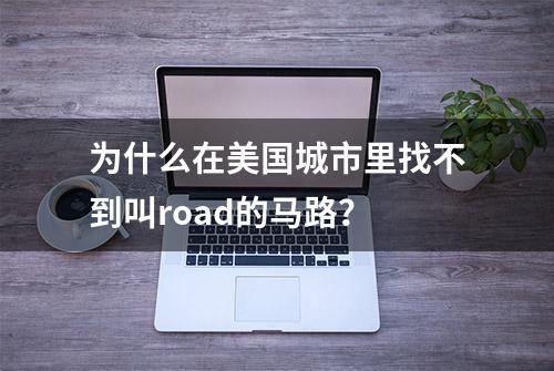 为什么在美国城市里找不到叫road的马路？