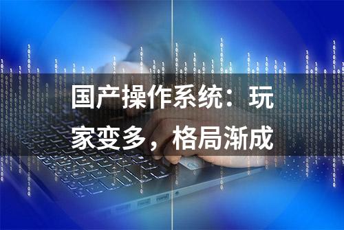 国产操作系统：玩家变多，格局渐成