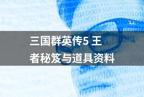 三国群英传5 王者秘笈与道具资料