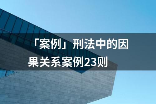 「案例」刑法中的因果关系案例23则