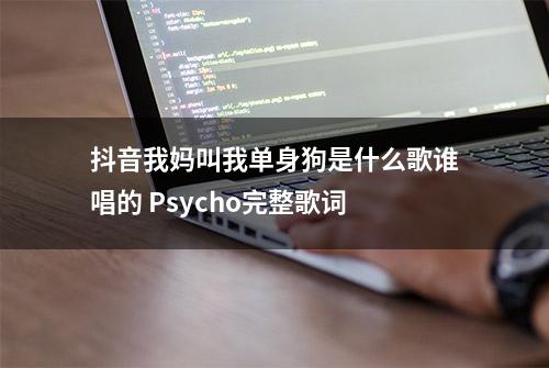 抖音我妈叫我单身狗是什么歌谁唱的 Psycho完整歌词