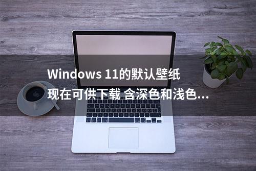 Windows 11的默认壁纸现在可供下载 含深色和浅色主题版本