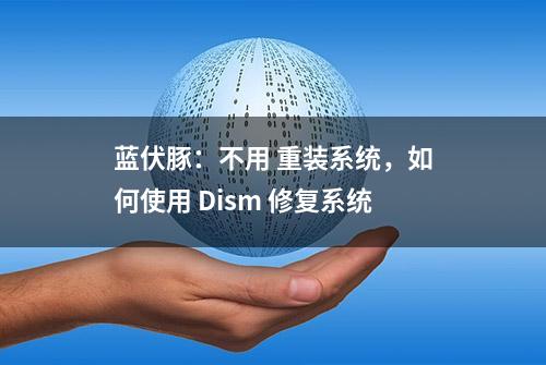 蓝伏豚：不用 重装系统，如何使用 Dism 修复系统