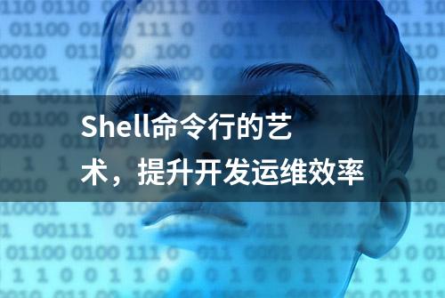 Shell命令行的艺术，提升开发运维效率