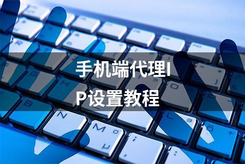 手机端代理IP设置教程