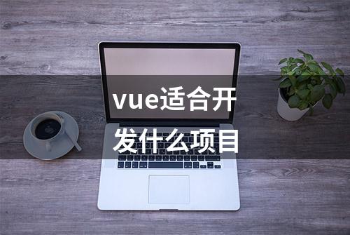 vue适合开发什么项目