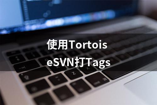 使用TortoiseSVN打Tags