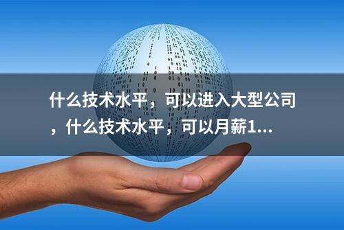 什么技术水平，可以进入大型公司，什么技术水平，可以月薪10万？