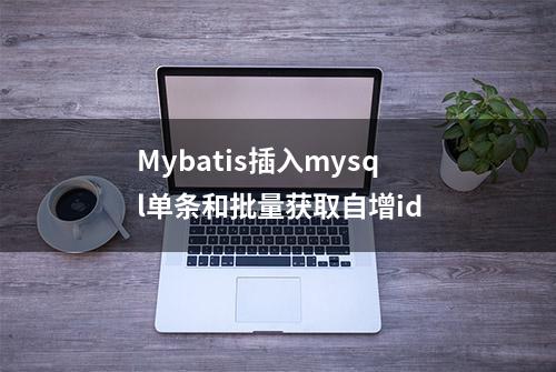 Mybatis插入mysql单条和批量获取自增id