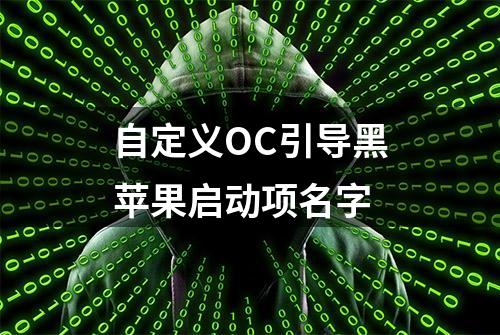 自定义OC引导黑苹果启动项名字