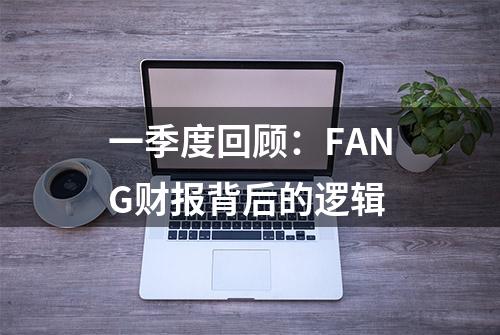 一季度回顾：FANG财报背后的逻辑