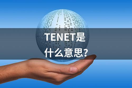 TENET是什么意思？