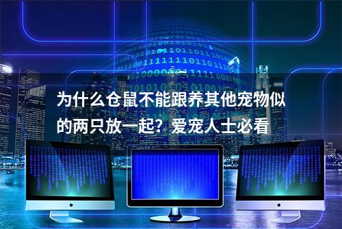 为什么仓鼠不能跟养其他宠物似的两只放一起？爱宠人士必看