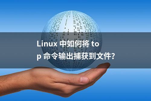 Linux 中如何将 top 命令输出捕获到文件？