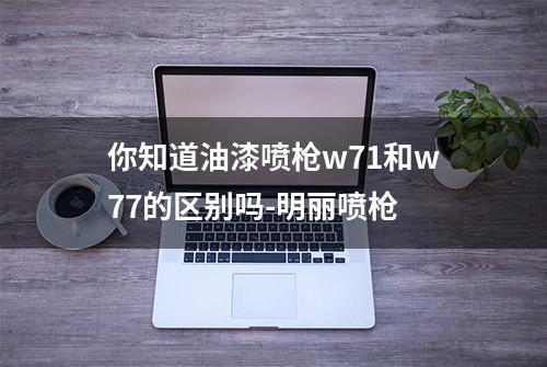 你知道油漆喷枪w71和w77的区别吗-明丽喷枪