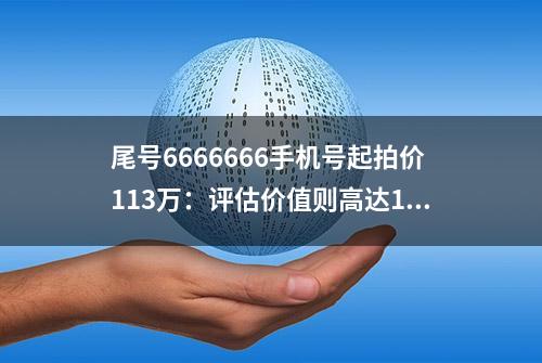 尾号6666666手机号起拍价113万：评估价值则高达160万元