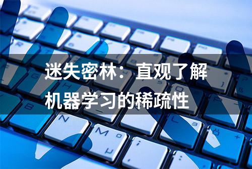 迷失密林：直观了解机器学习的稀疏性