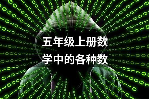 五年级上册数学中的各种数