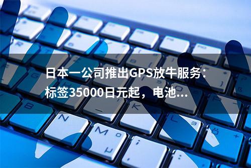 日本一公司推出GPS放牛服务：标签35000日元起，电池可用10年