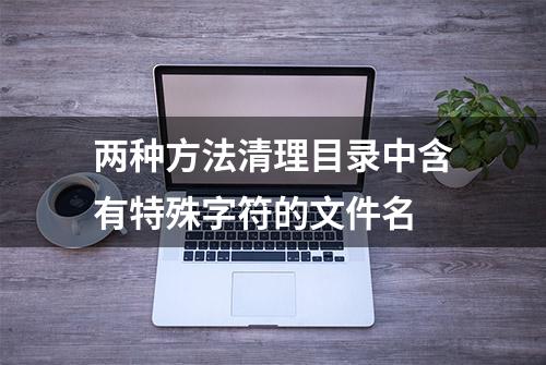 两种方法清理目录中含有特殊字符的文件名