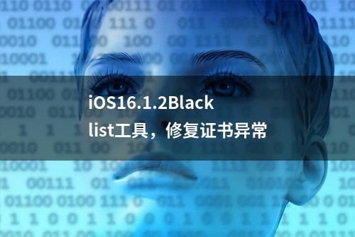 iOS16.1.2Blacklist工具，修复证书异常