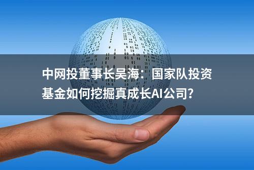 中网投董事长吴海：国家队投资基金如何挖掘真成长AI公司？