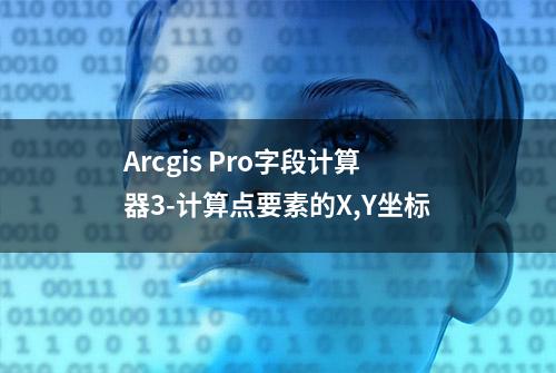 Arcgis Pro字段计算器3-计算点要素的X,Y坐标