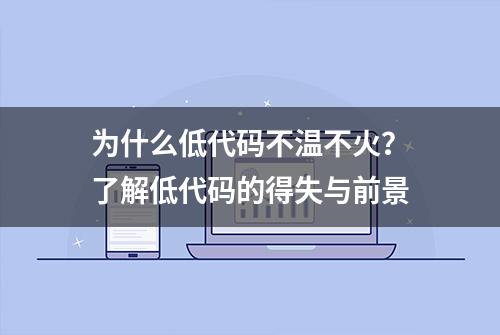 为什么低代码不温不火？了解低代码的得失与前景