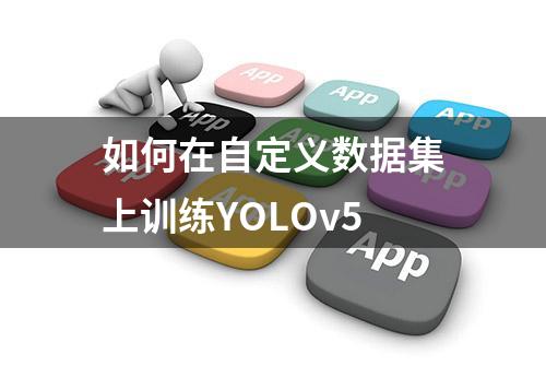 如何在自定义数据集上训练YOLOv5